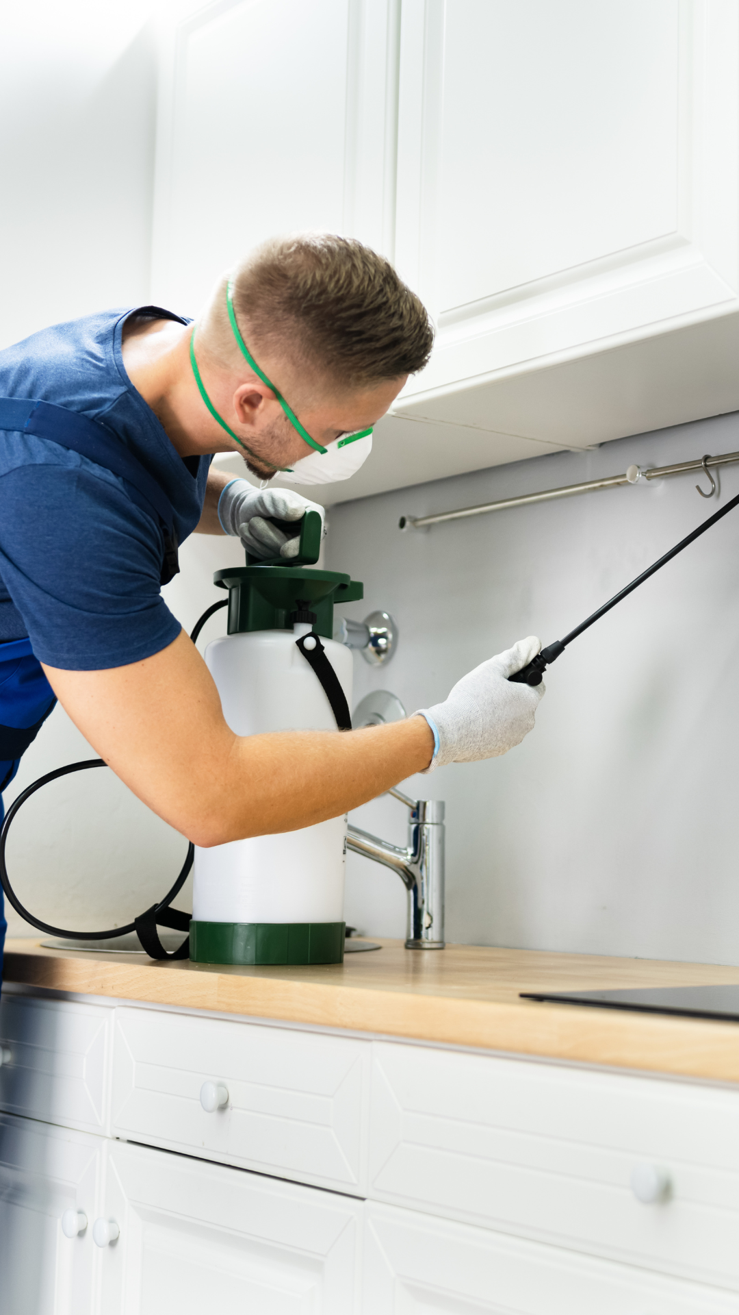 Expertise anti-nuisibles en milieu rural et urbain